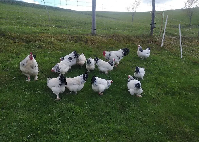 Appartement Reeshof *