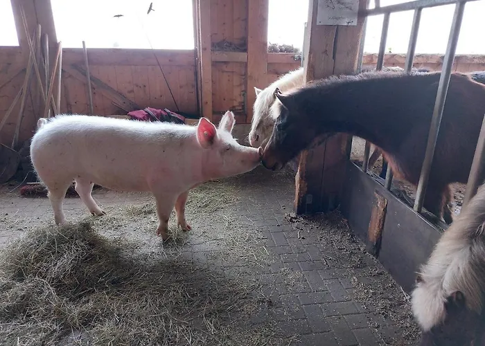 Reeshof Appartement *