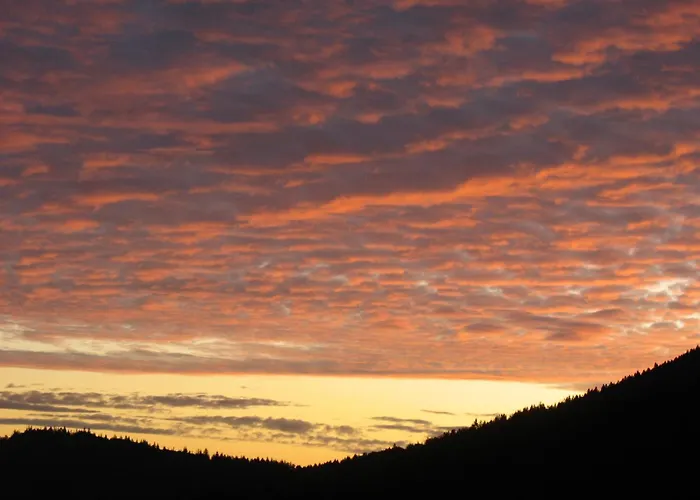 Appartement Reeshof *