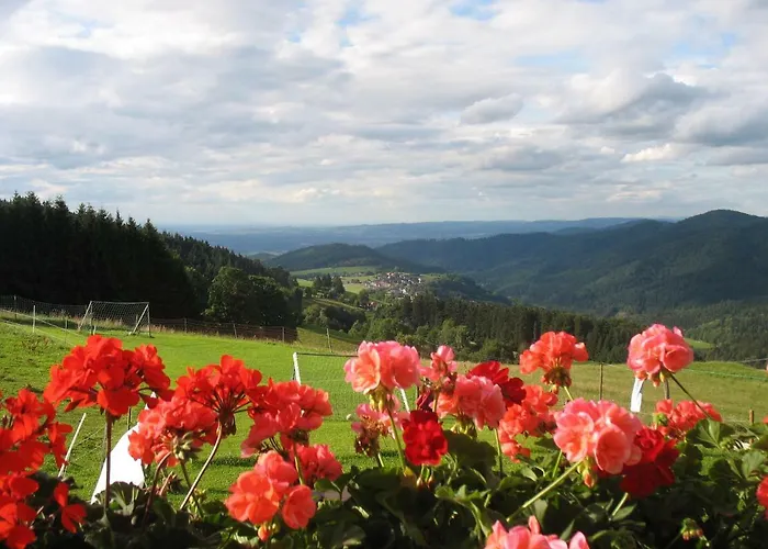 Reeshof Appartement *